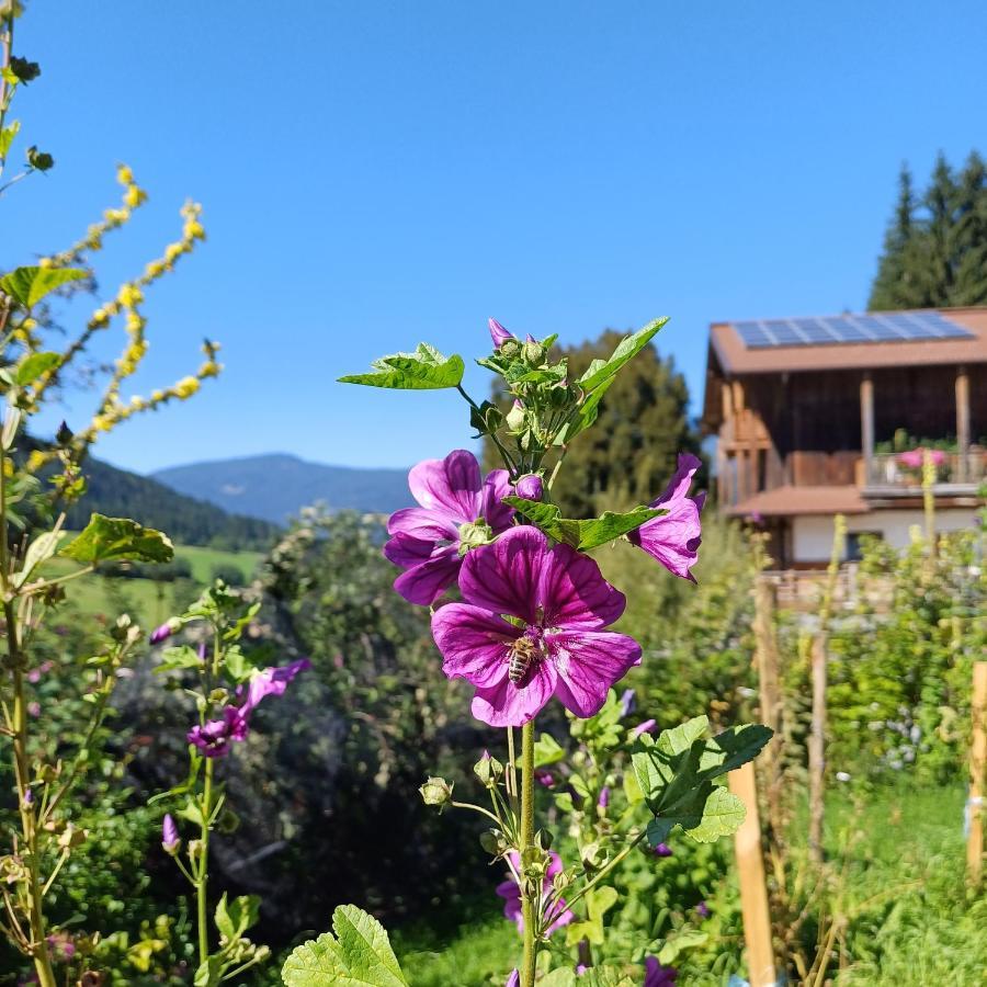 Tiny House Am Steinergut Otel Radstadt Dış mekan fotoğraf