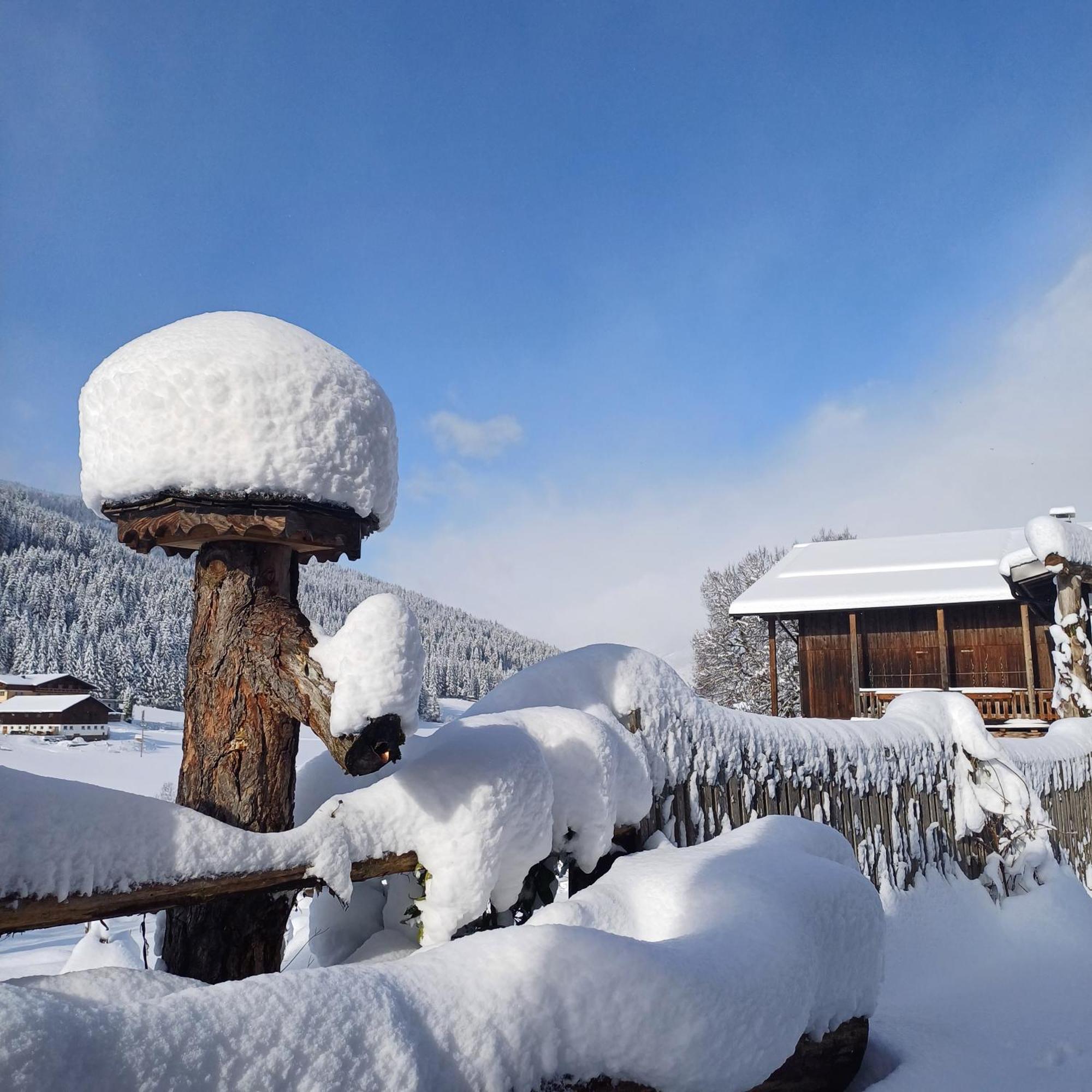 Tiny House Am Steinergut Otel Radstadt Dış mekan fotoğraf